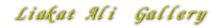  Liakat Ali  Gallery